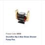 Grundfos Brass Shower Pump Image 7