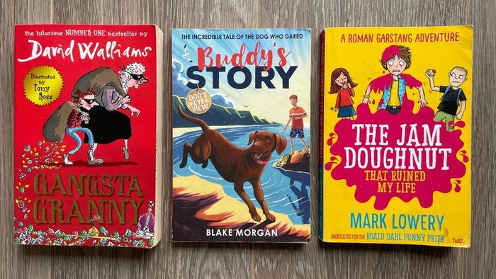 LOTS of Childrens Book Bundles - Football Books, Wimpy Kid, Cat Kid, Skulduggery Pleasant etc