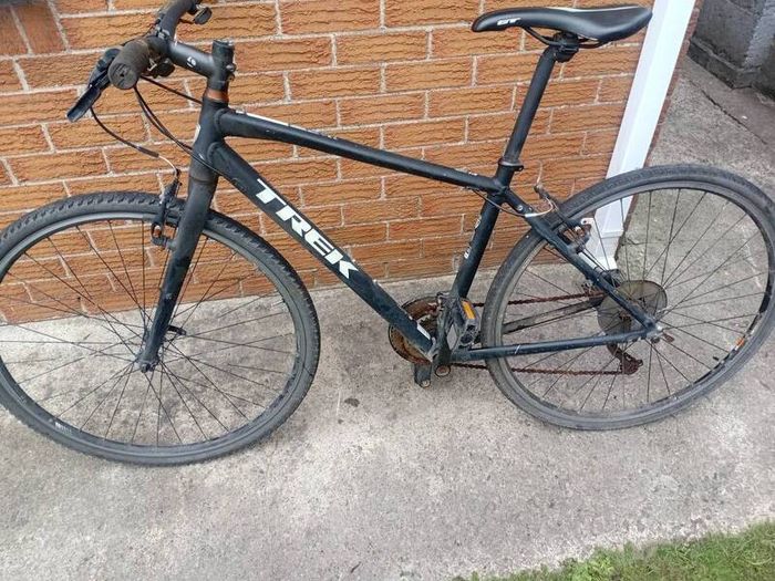 adults bike