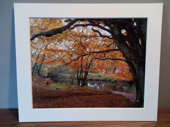 Mounted Original Photography - Ballinrush Autumn, Kerry