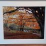 Mounted Original Photography - Ballinrush Autumn, Kerry Image 2