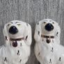 Staffordshire Dogs Image 6
