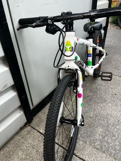 Frog 55 kids bike
