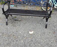 Old bench