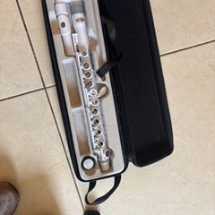 Beginner plastic flute