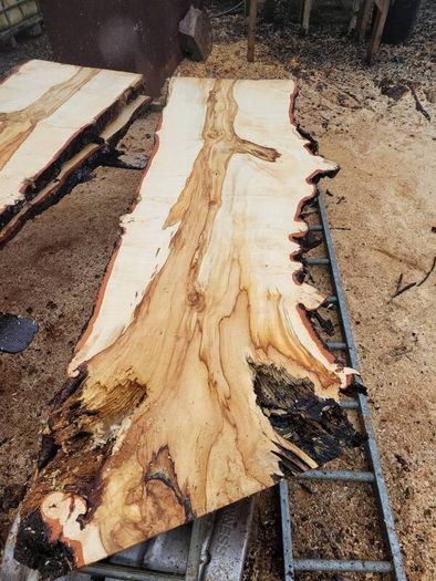 Hardwood timber