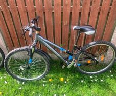 Raleigh AT20 mountain bike