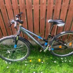 Raleigh AT20 mountain bike