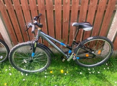 Raleigh AT20 mountain bike