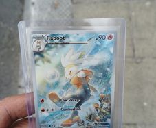 Raboot 147/142 pokemon card