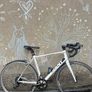Giant Defy ALUXX SL aluminium  (M/L size - male) Image 4