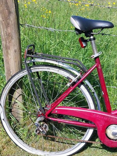 Ladys Bike