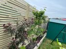 Fencing, Fence panels, Privacy screens and wall toppers Image 6