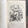1841 Antique Book - The Penny Magazine (bound issue) Image 2