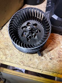 Blower Motor