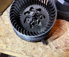 Blower Motor