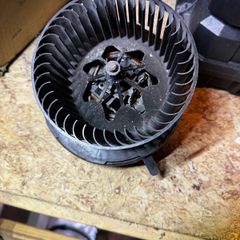 Blower Motor