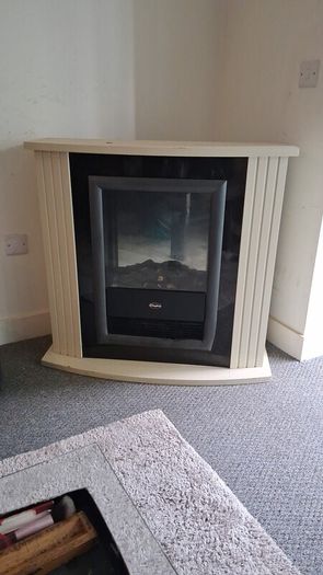 Electric fire