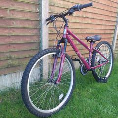 Apollo Twilight Mountain Bike - 14" S Frame