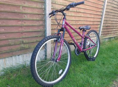 Apollo Twilight Mountain Bike - 14" S Frame