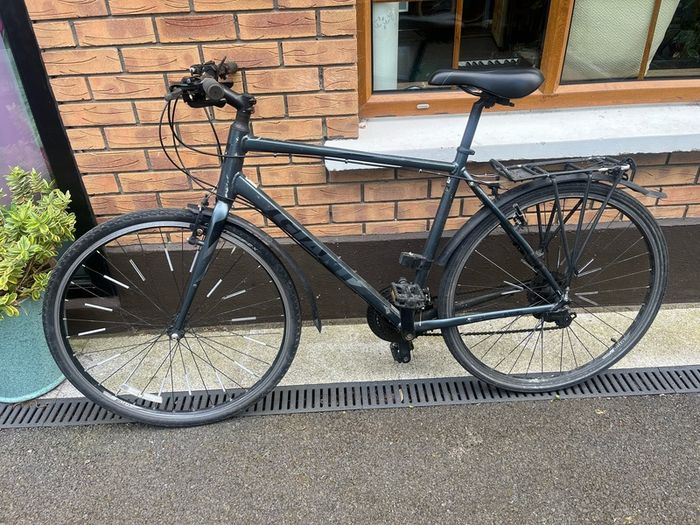 Adult Giant bike