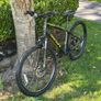 Frenzy Mountain Bike Image 3