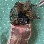 Georgia Vienna Hanger and Pot Pourri Sachets Image 7