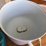 Steriliser Image 4