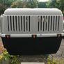 Domestic pet Bracco transport 5 Image 8