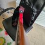 Red Sire P5 5 String Image 5