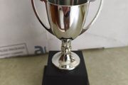 Metal Cup Trophy Award on black plinth.