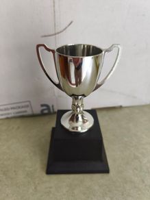 Metal Cup Trophy Award on black plinth.