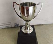 Metal Cup Trophy Award on black plinth.