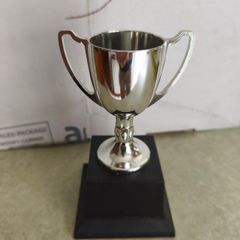 Metal Cup Trophy Award on black plinth.