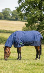 equestrian