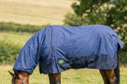 equestrian