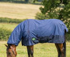 equestrian