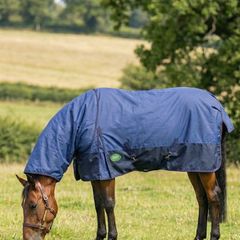 equestrian