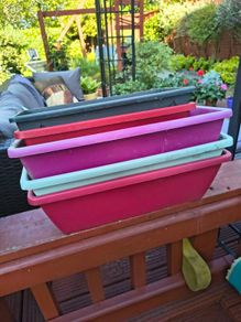 Five Window boxes