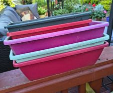 Five Window boxes