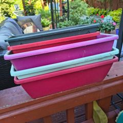 Five Window boxes