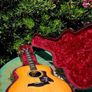 Taylor 818e USA made Grand Orchestra Image 7