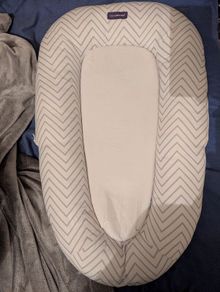 Baby Nest