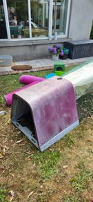 Eglu Go Rabbit and Guinea pig Hutch