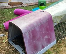 Eglu Go Rabbit and Guinea pig Hutch