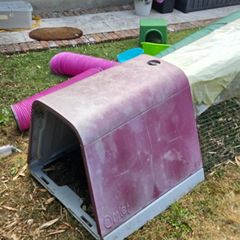 Eglu Go Rabbit and Guinea pig Hutch