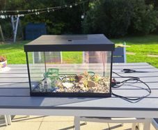 20 litre fish tank - free