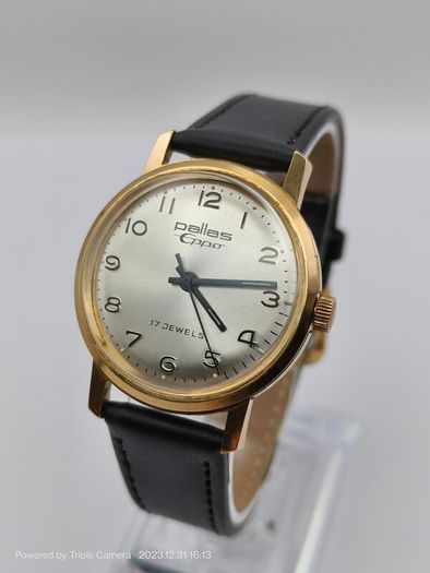 Pallas Eppo swiss men's watch