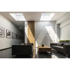 Flat Roof Window