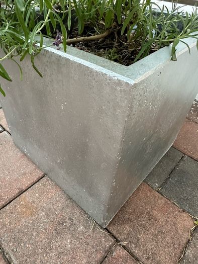 Lavander pot